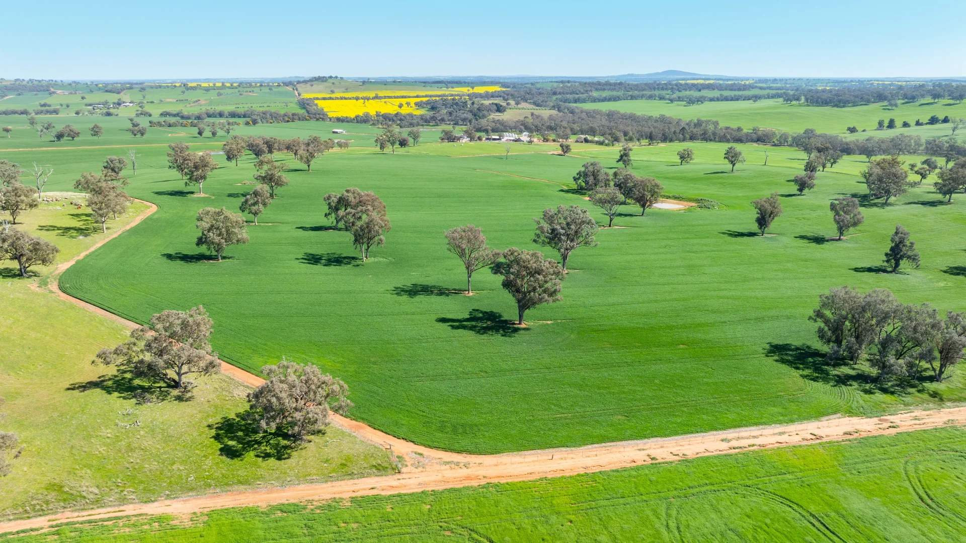 Additional image 29 of 1726 Howlong Burrumbuttock Road, Burrumbuttock NSW 2642