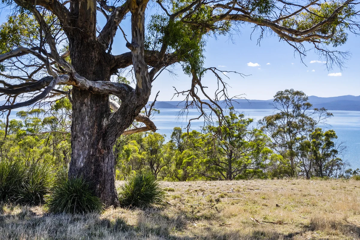 Additional image 26 of 370 Saltwater River Road, Premaydena TAS 7185