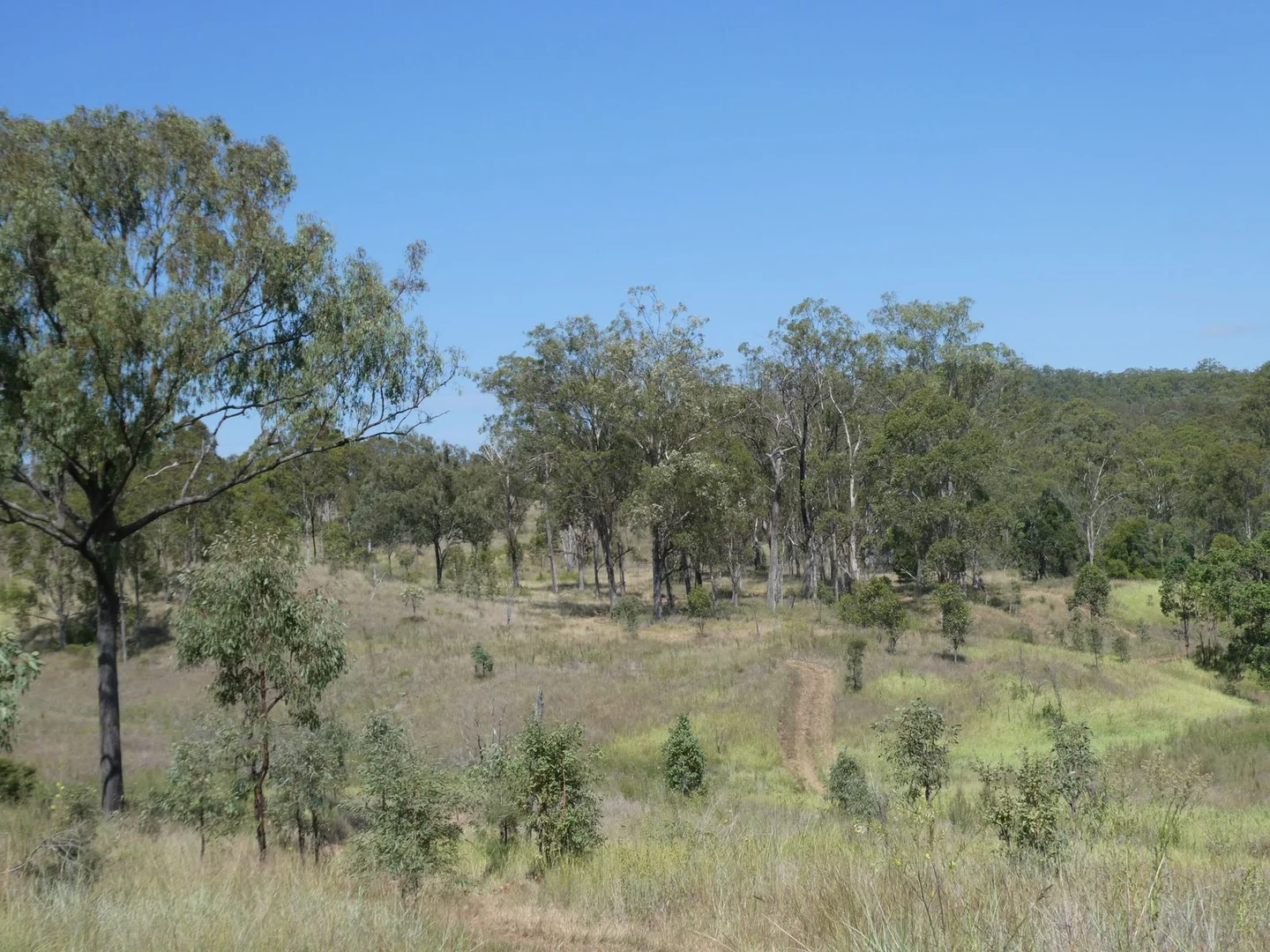 Additional image 21 of Lot 14 Monto Mount Perry Road, Mungy QLD 4671