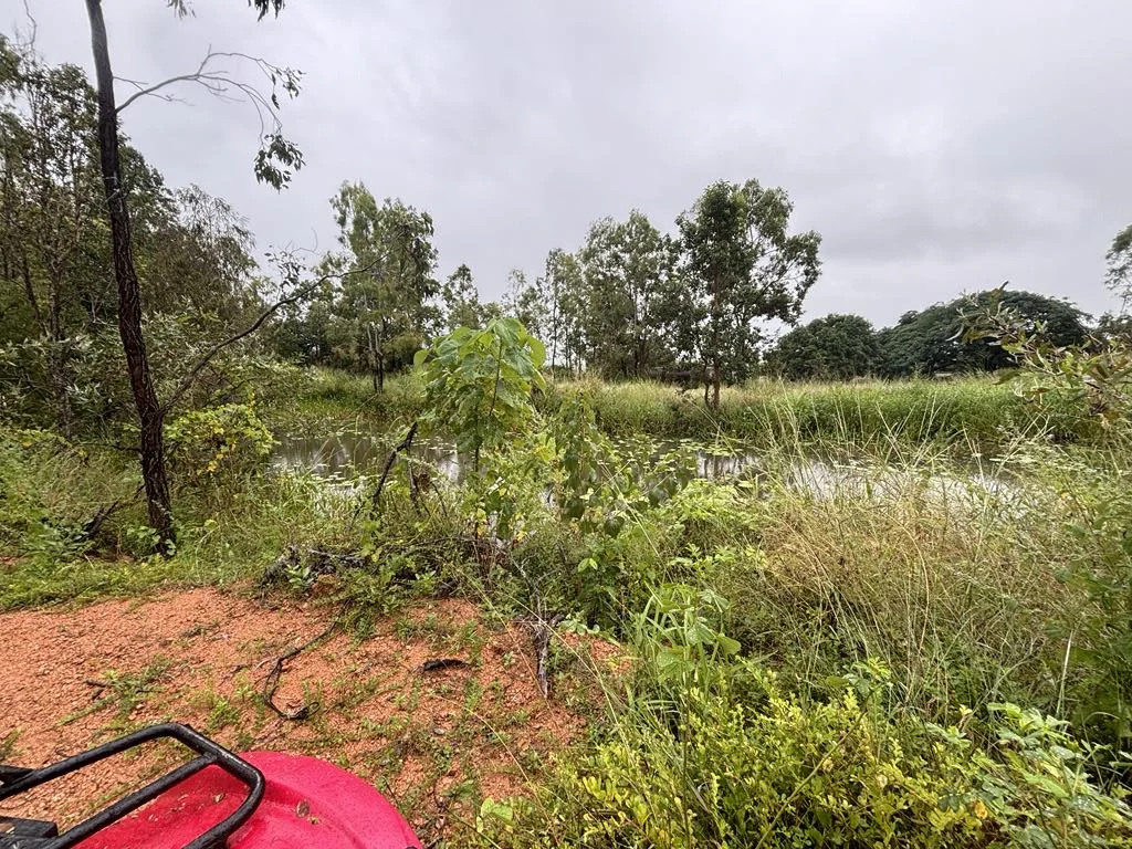 Additional image 30 of 25 Lions Lookout Road, Blackrock QLD 4850