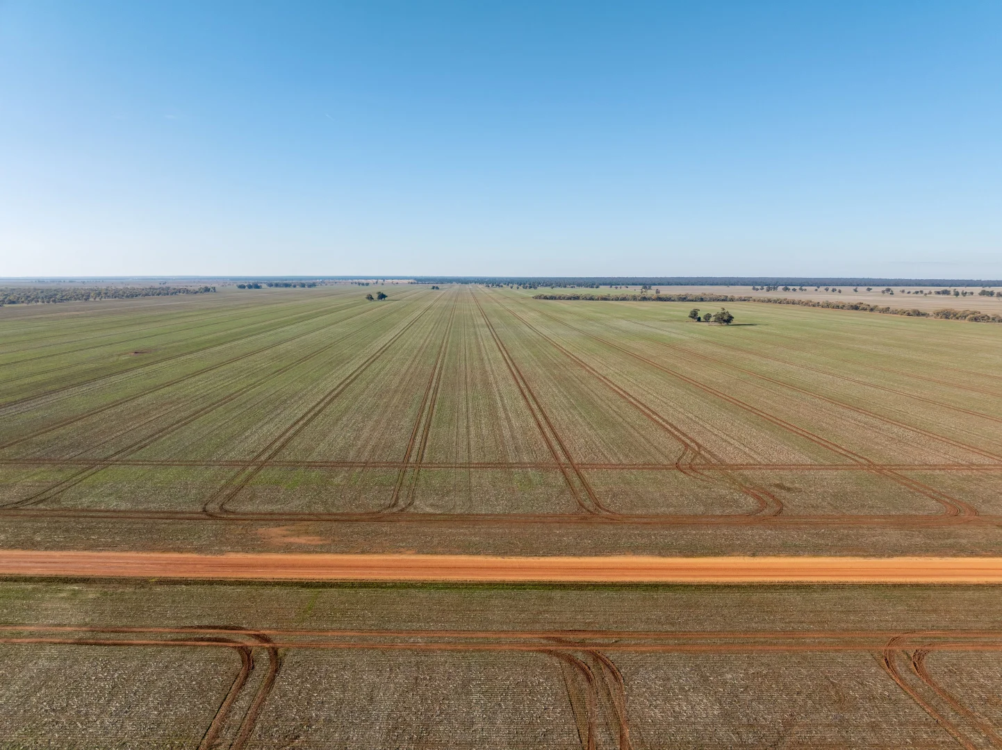 Additional image 9 of 609 Barragunda Road, Urana NSW 2645
