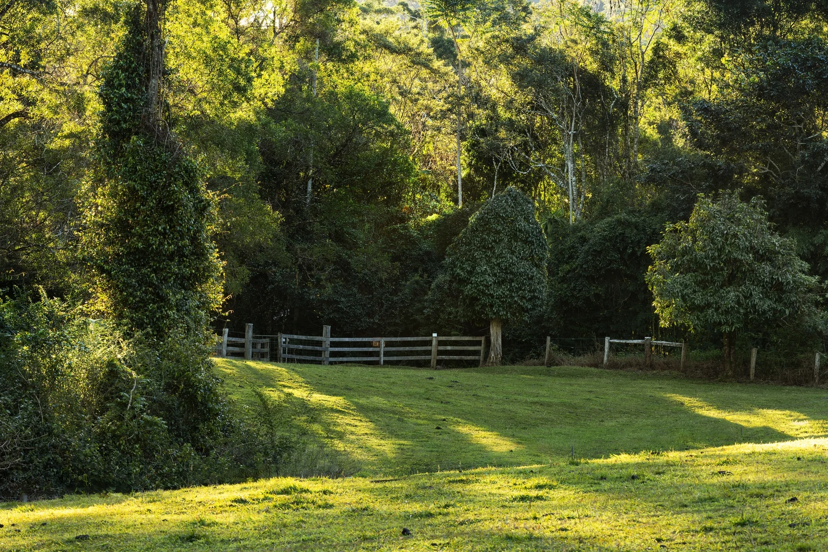 Additional image 9 of 361 Huonbrook Road, Huonbrook NSW 2482