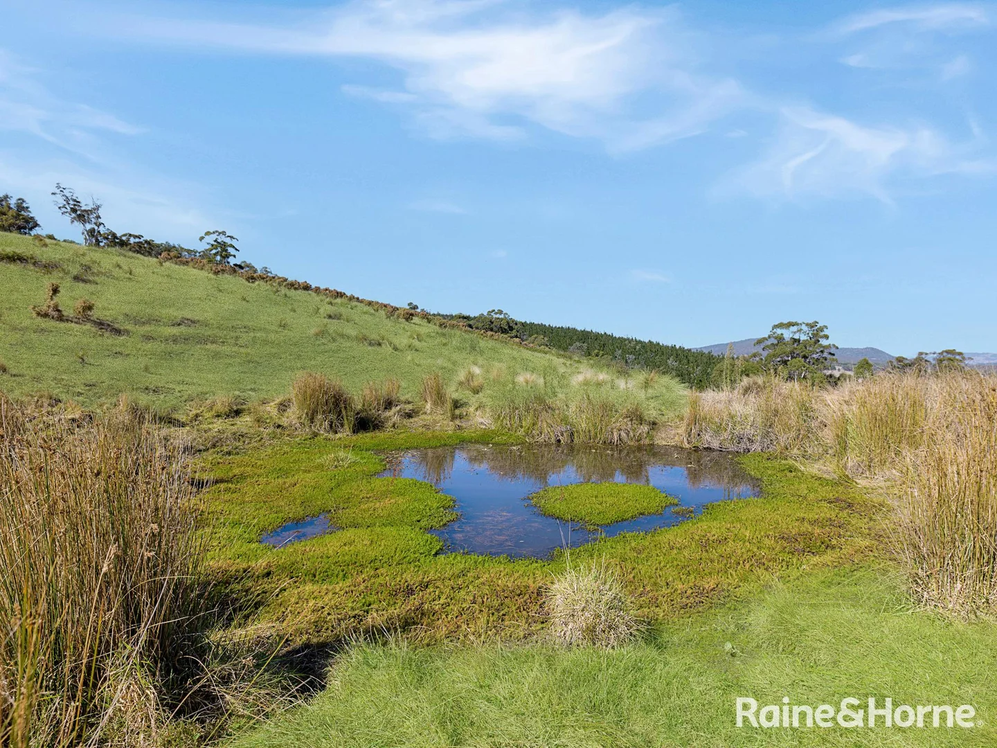 Additional image 6 of Part/2899 Great Western Highway, Meadow Flat NSW 2795