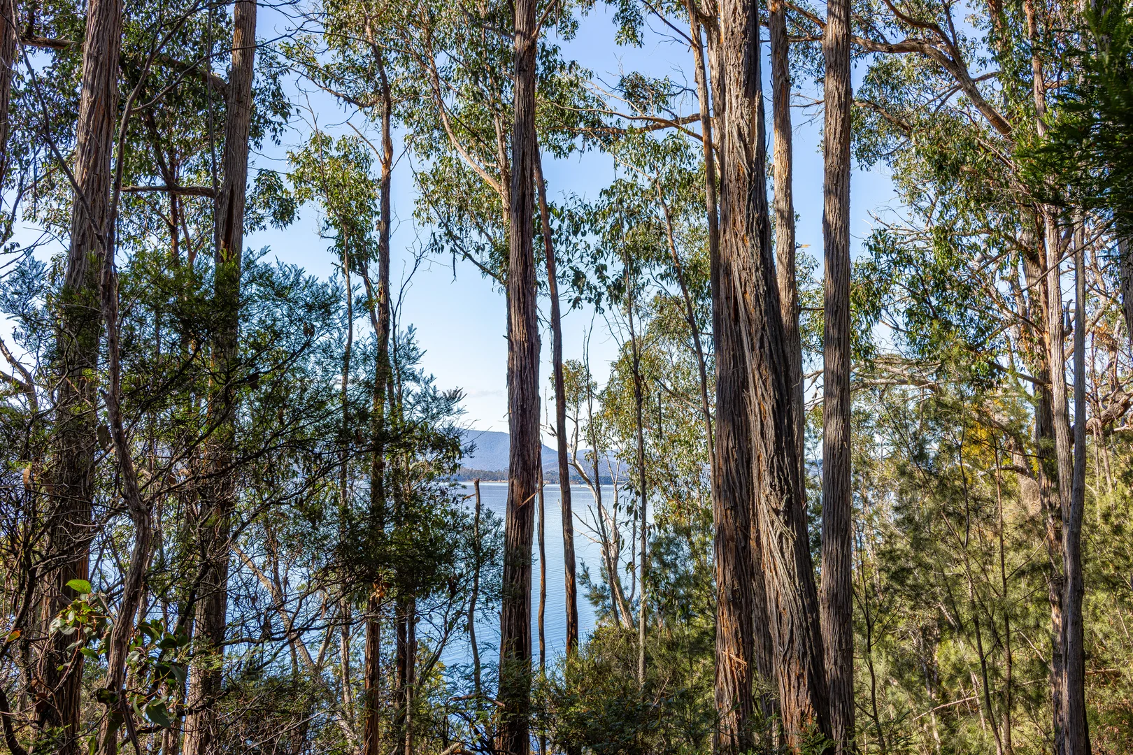 Additional image 11 of 287 Esperance Coast Road, Brooks Bay TAS 7116