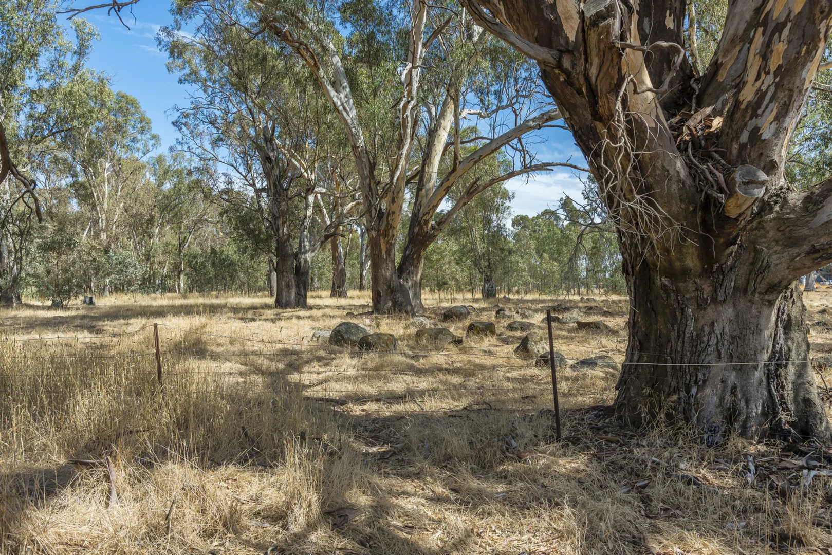 Additional image 17 of 200 Campbells Road, Redesdale VIC 3444