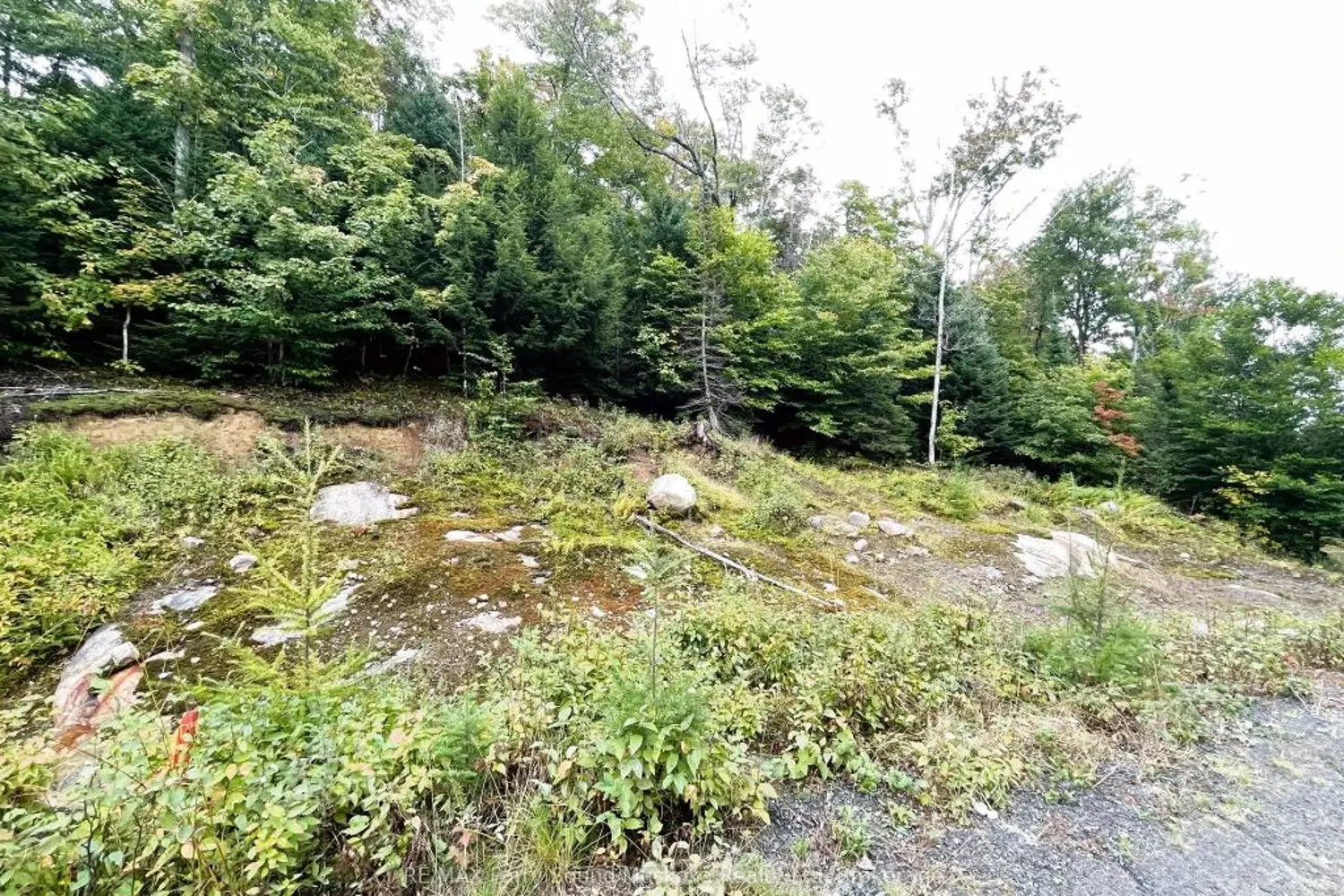 Additional image 12 of 75 Granite Drive