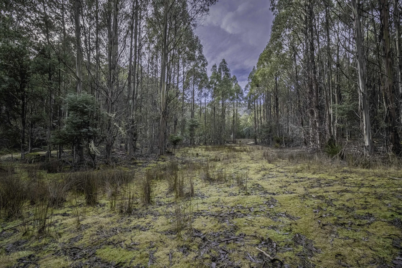 Additional image 32 of Judbury TAS 7109