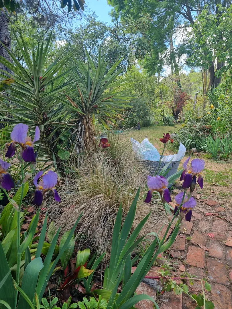 Additional image 12 of 9 Fraser Street, Clunes VIC 3370