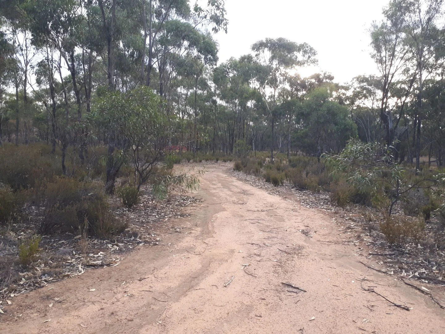 Additional image 3 of 230 PuzzleFlat Road, Bealiba VIC 3475