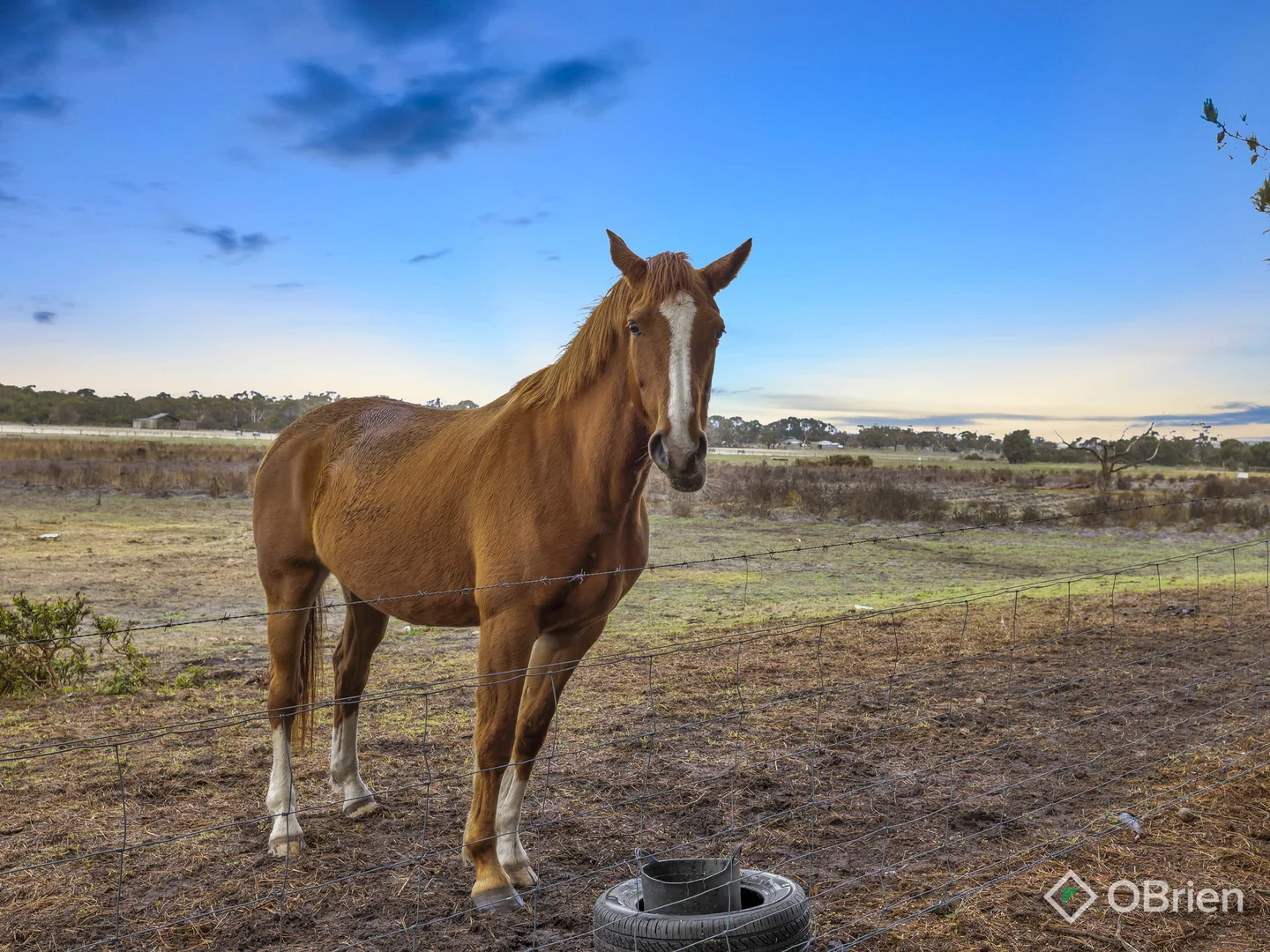 Additional image 6 of 1010 Baxter-Tooradin Road, Pearcedale VIC 3912