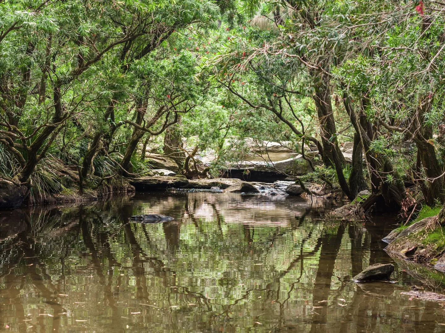 Additional image 2 of 497 Yabbra Road, Yabbra NSW 2469