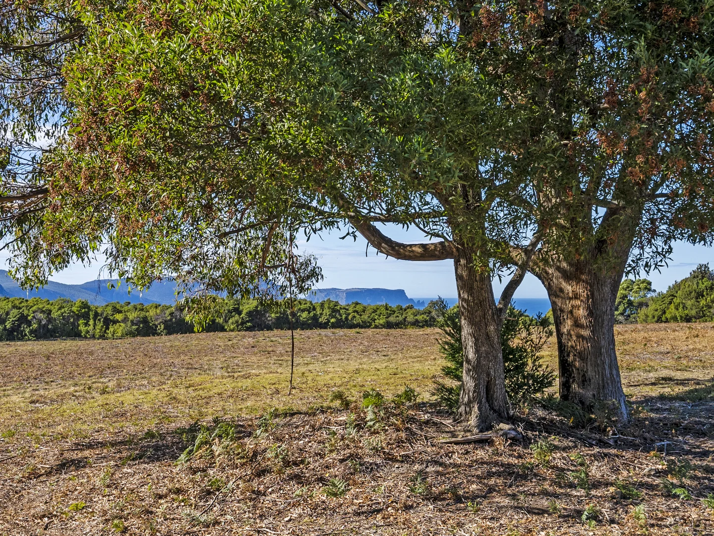 Additional image 16 of 312 Lookout Road, Port Arthur TAS 7182