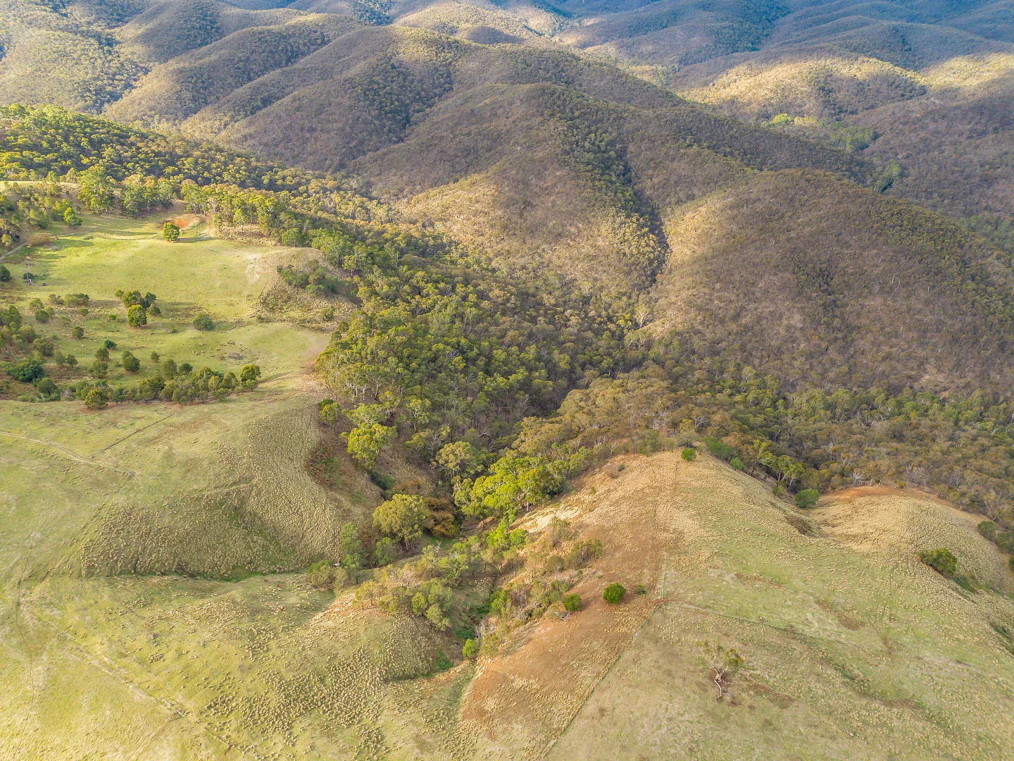 Additional image 9 of CA 22D & 22E Spotiswood Road, Bullengarook VIC 3437