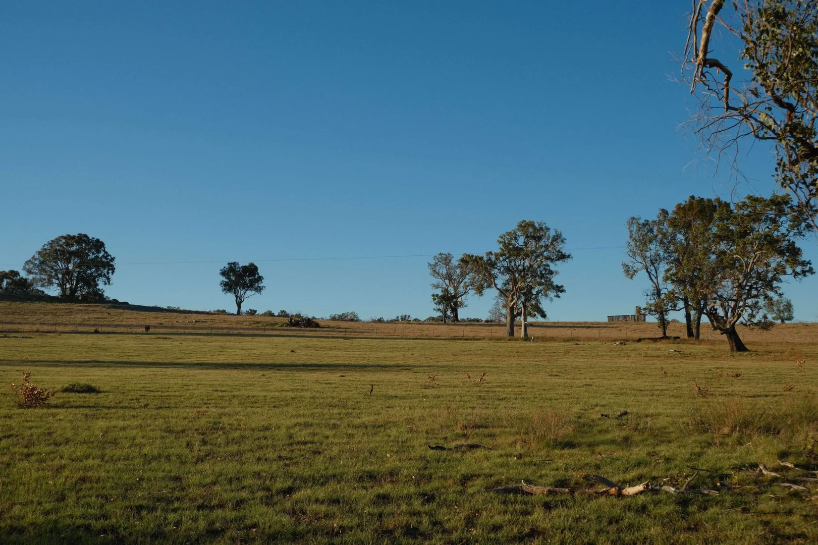 Additional image 7 of Tenterfield NSW 2372