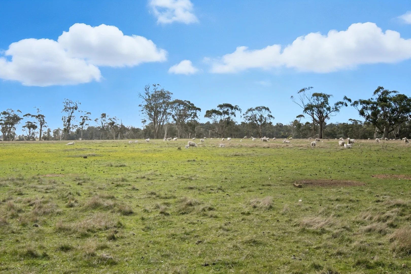 Additional image 32 of 33 Haggerston Farm Road, Perth TAS 7300