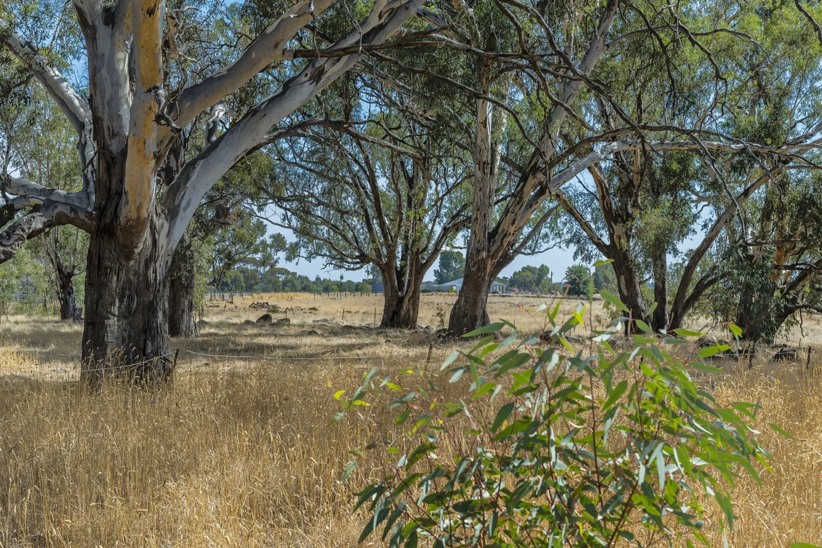 Additional image 4 of 200 Campbells Road, Redesdale VIC 3444