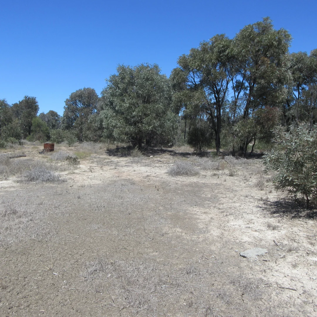 Additional image 6 of Tara QLD 4421