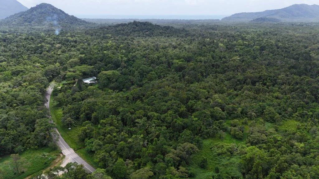 Additional image 24 of Lot 81 Cape Tribulation Road, DIWAN,, Daintree QLD 4873