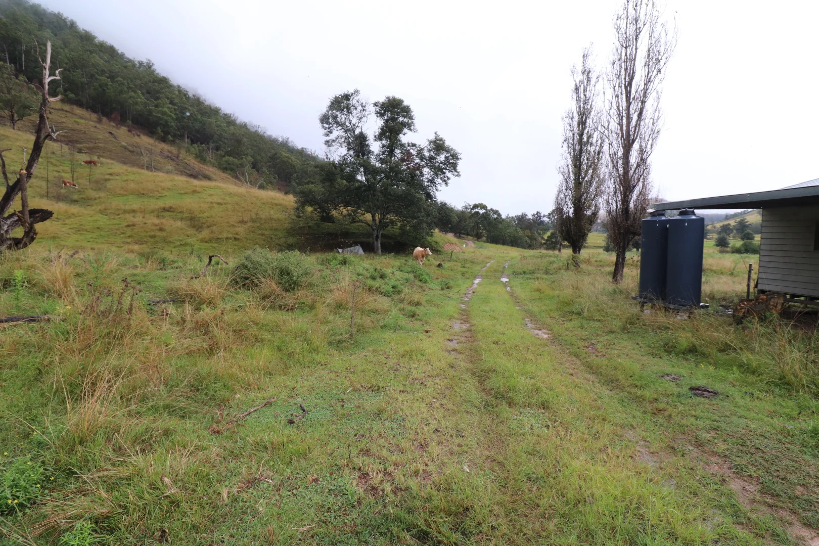 Additional image 7 of 95 Smiths Creek Road, Lower Creek NSW 2440