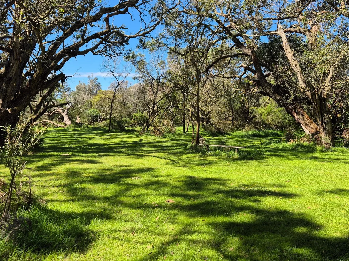 Additional image 20 of 417 McBurnie and Boags Road, Tarwin Lower VIC 3956