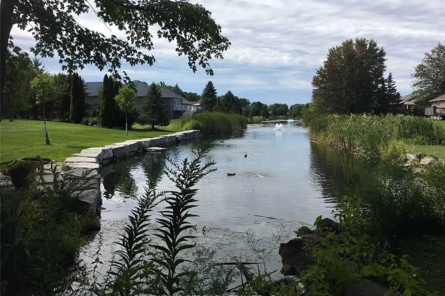 Additional image 6 of 81 Bayshore Drive