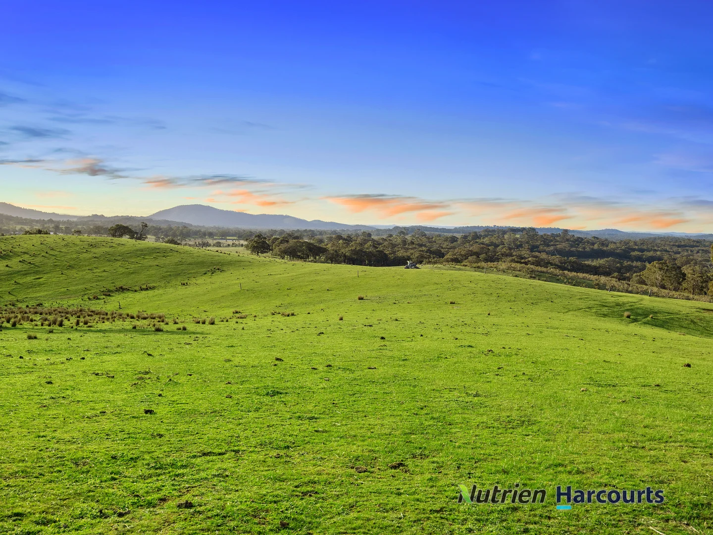 Additional image 22 of 250 Daisyburn Road, Hilldene VIC 3660