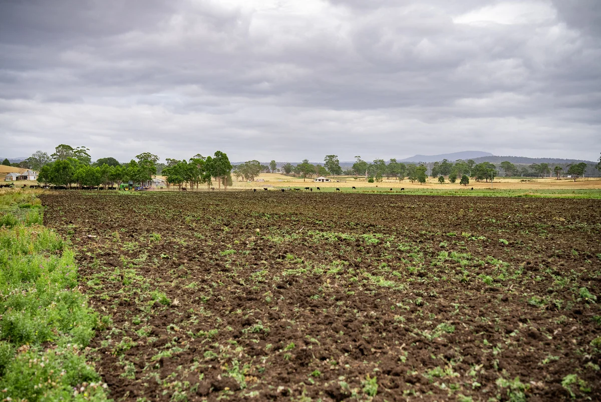Additional image 4 of 196 Court Farm Road, Buckland TAS 7190