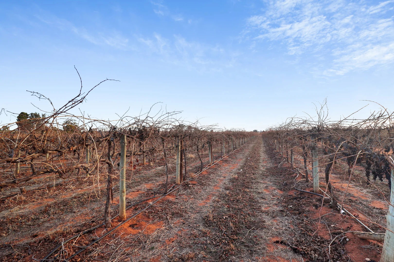 Additional image 17 of 57 Old Sturt Highway, Barmera SA 5345