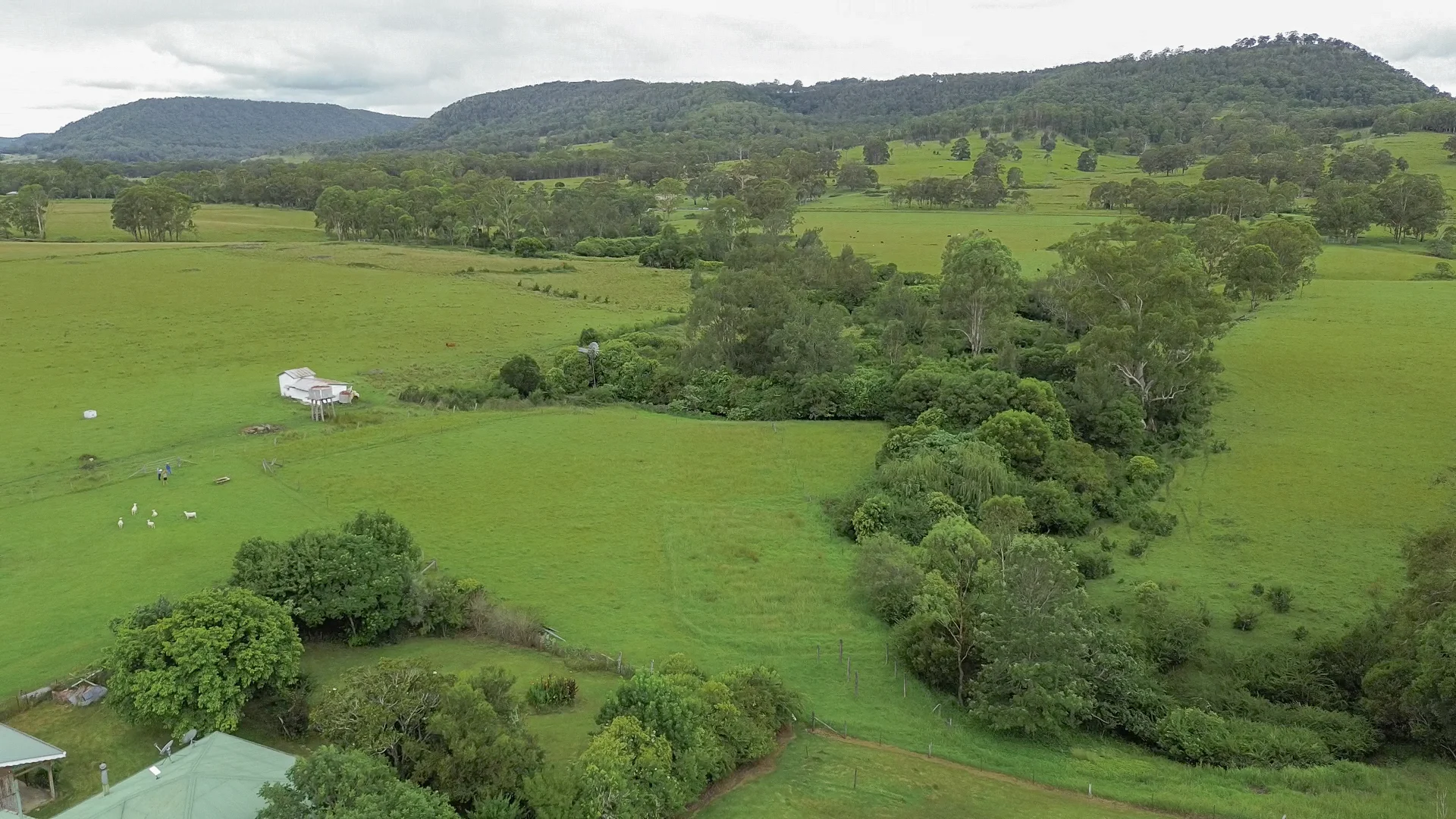 80 Tooloom Street, Legume NSW 2476