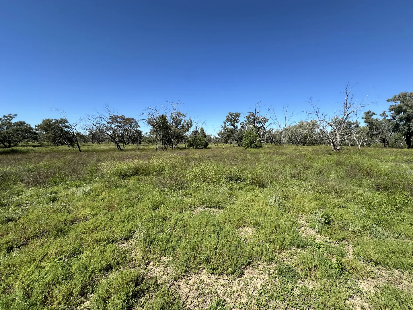 Additional image 29 of 0 Old Cunnamulla Road, Charleville QLD 4470