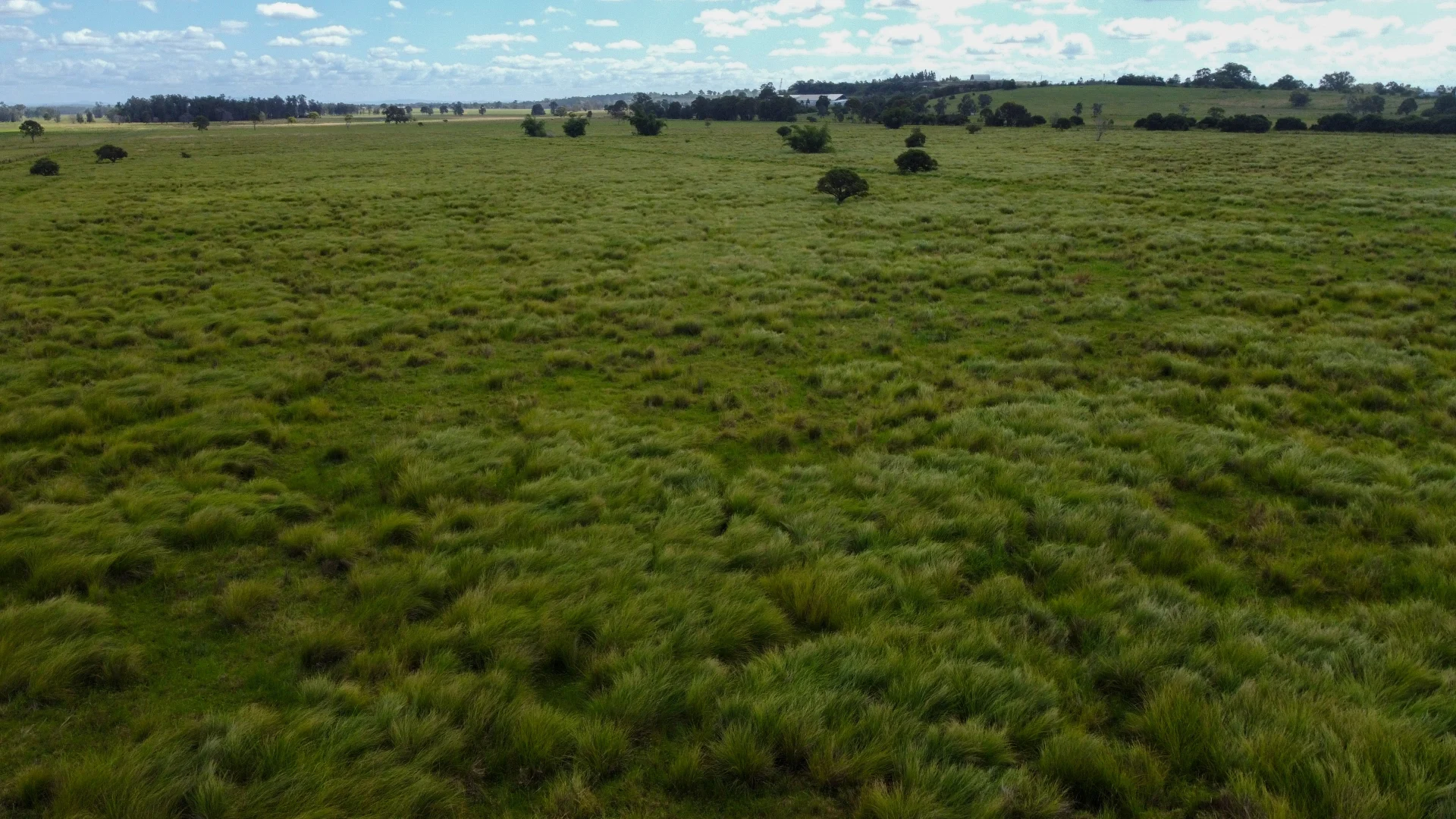 Additional image 9 of 1775 Casino Coraki Road, Coraki NSW 2471