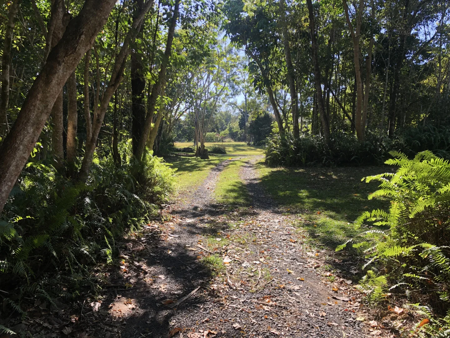 Additional image 34 of 81 Castle Rock Road, Byfield QLD 4703