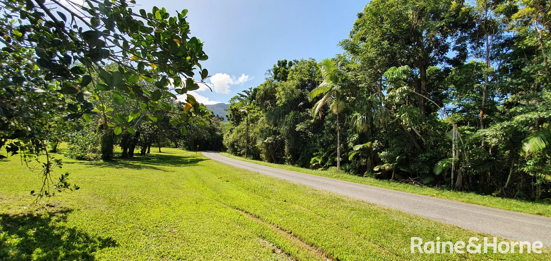 Additional image 19 of Lot 81 Cape Tribulation Road, DIWAN,, Daintree QLD 4873