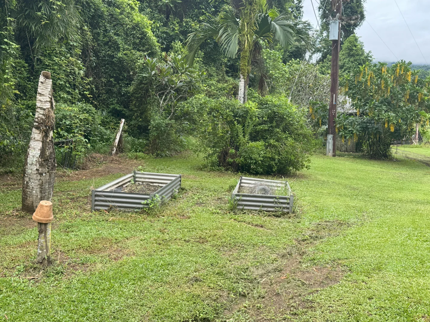 Additional image 16 of Gillies Range Road, Little Mulgrave QLD 4865