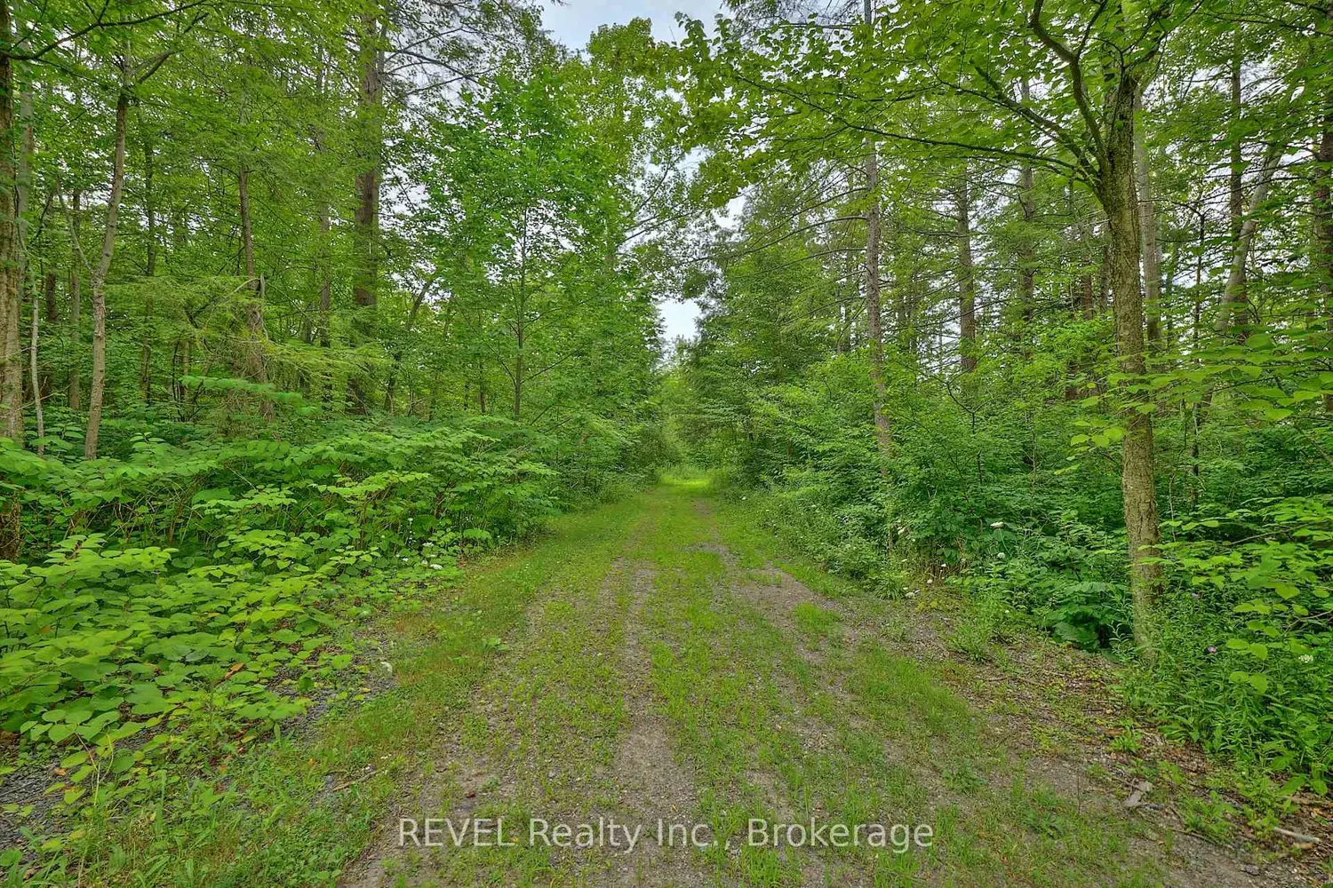 Additional image 19 of 740 Highway 20