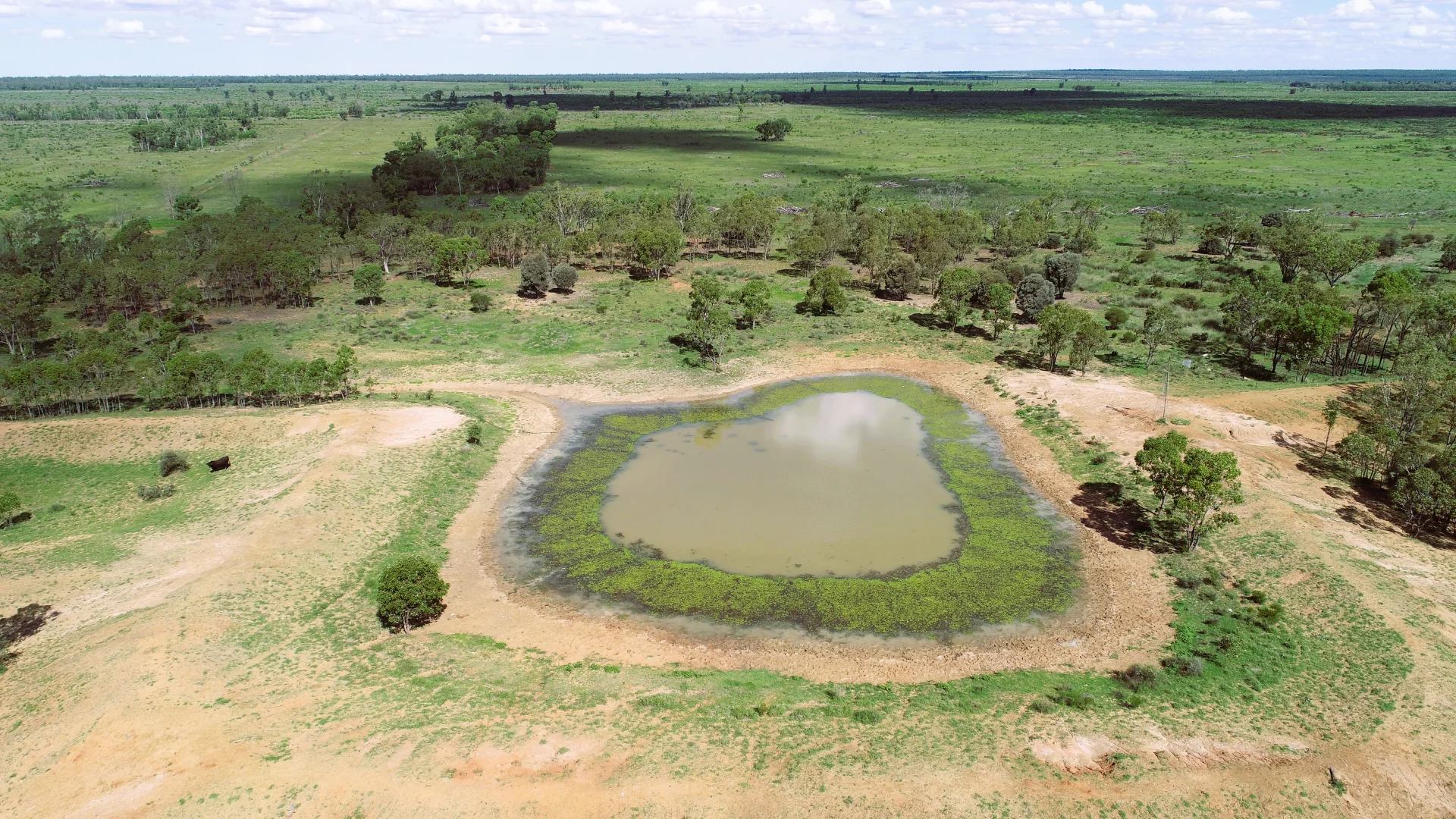 Additional image 8 of 'Ula Ula' 210 Ula Ula Road, St George QLD 4487