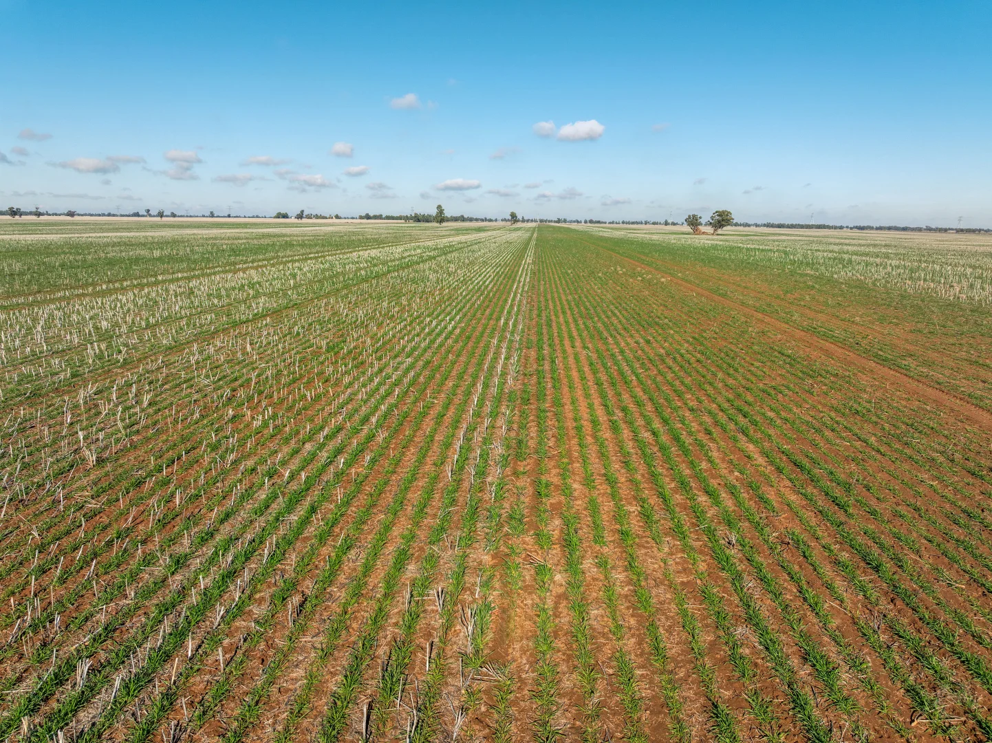 Additional image 5 of 609 Barragunda Road, Urana NSW 2645