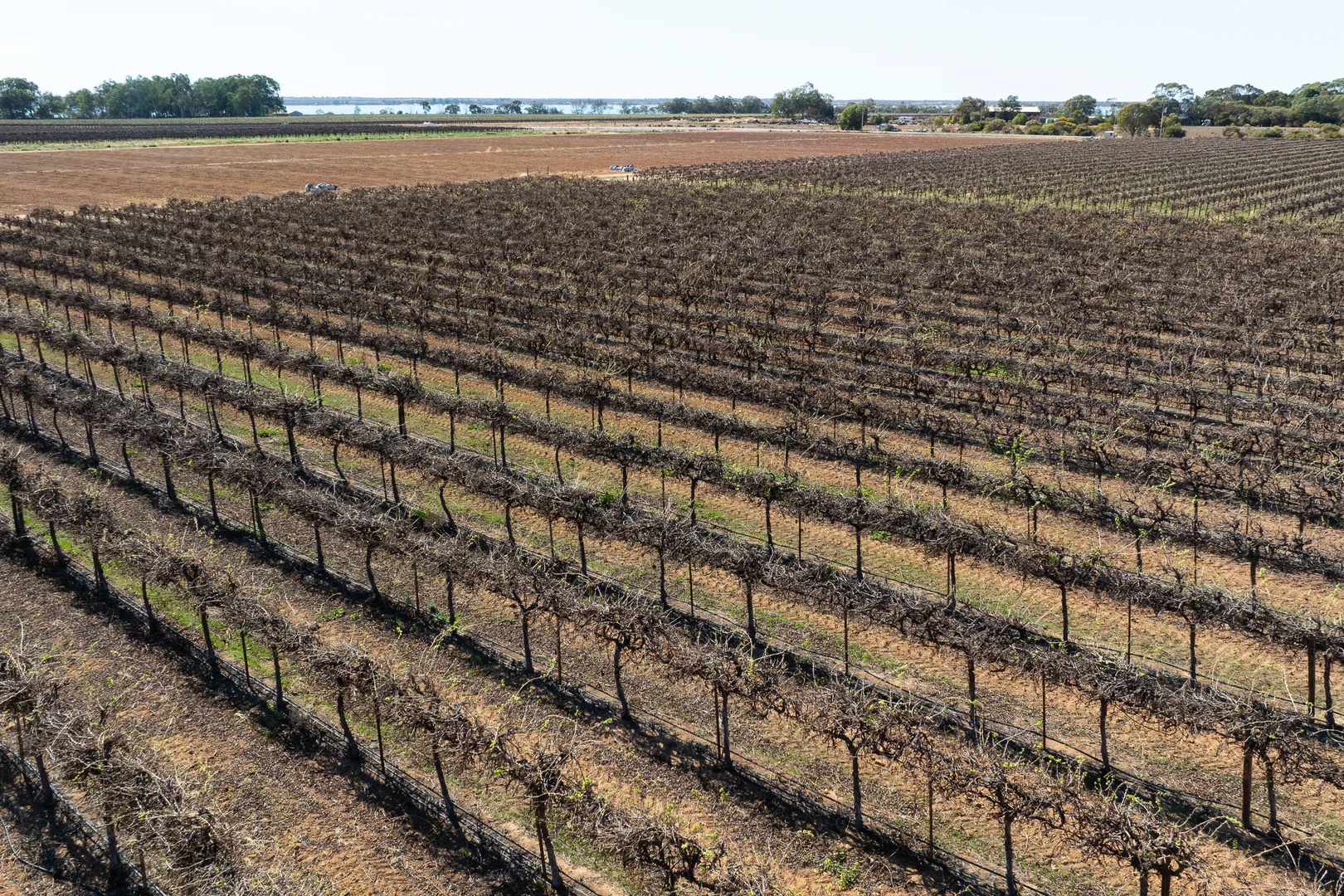 Additional image 35 of 229 Morgan Road, Cobdogla SA 5346