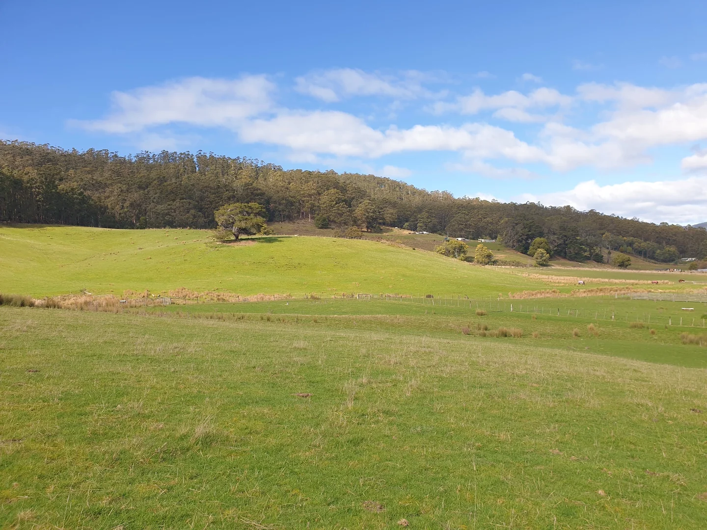 Additional image 3 of Lot 2 Huon Highway, Dover TAS 7117