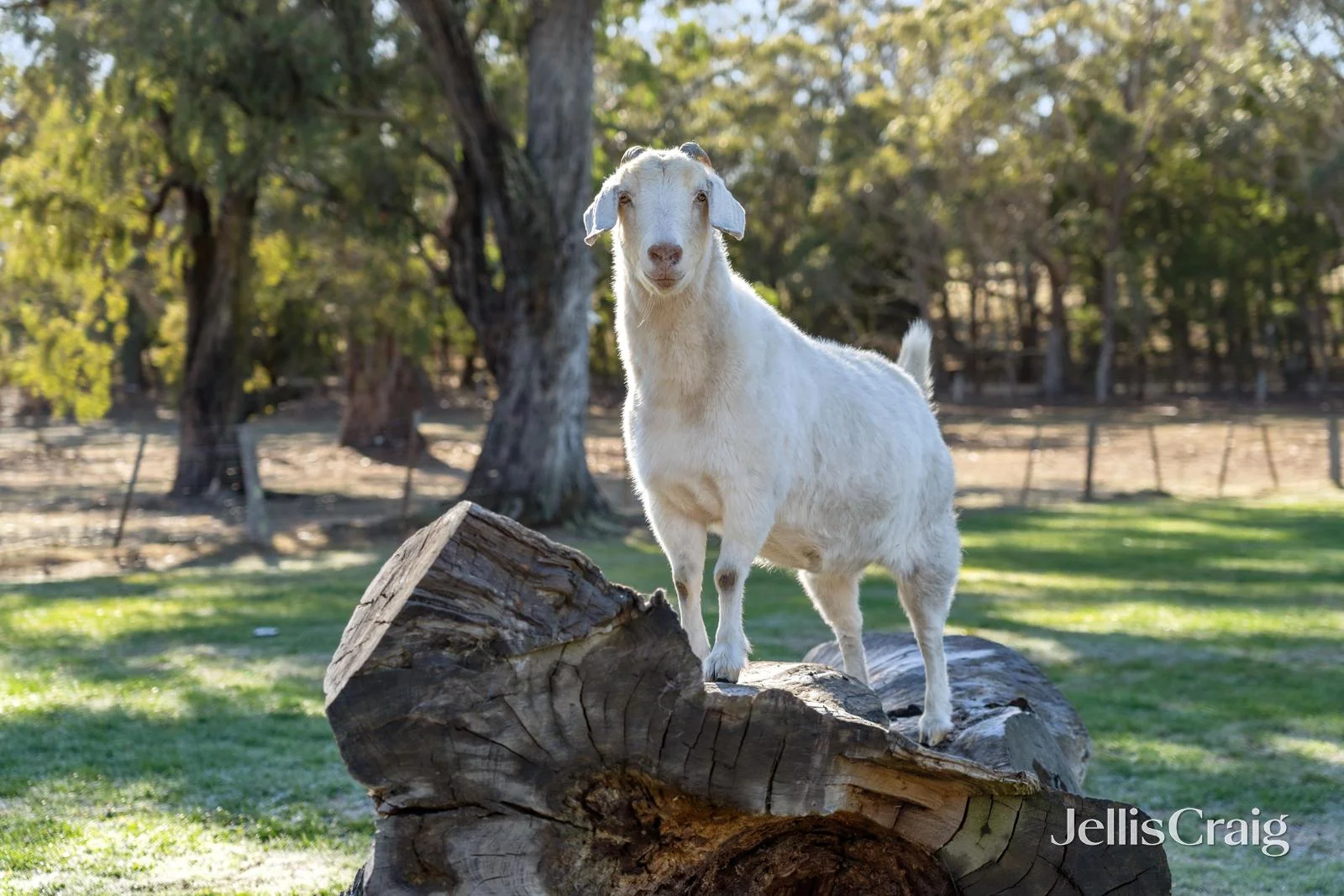 Additional image 18 of 396 Sullivans Road, Millbrook VIC 3352