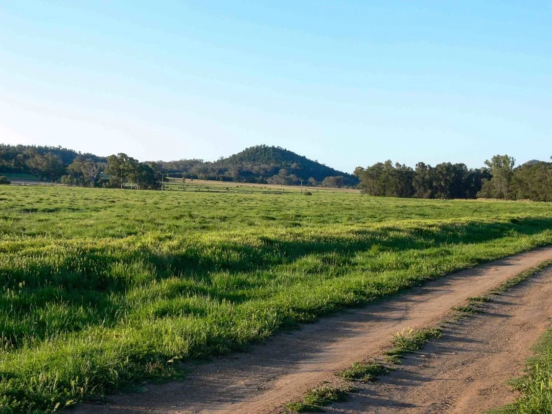 Additional image 5 of The Glen, Berrigal NSW 2390