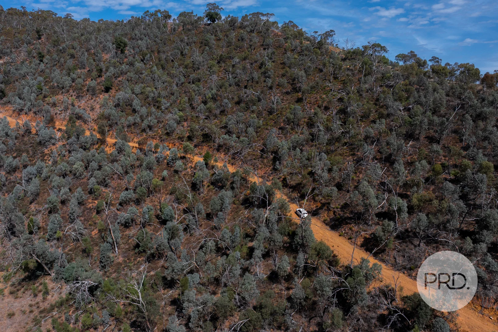 Additional image 36 of 294 Stewarts Road, Oberne Creek NSW 2650