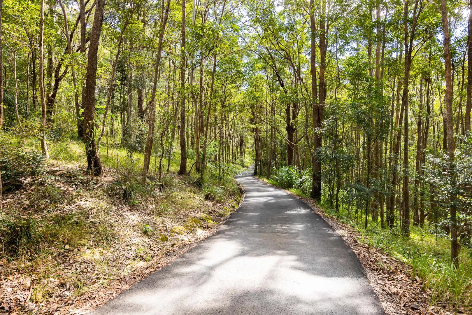 Additional image 7 of 448 Gold Creek Road, Eerwah Vale QLD 4562