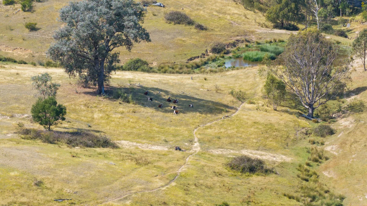 Additional image 6 of 9 Ryans Road, Coongulla VIC 3860