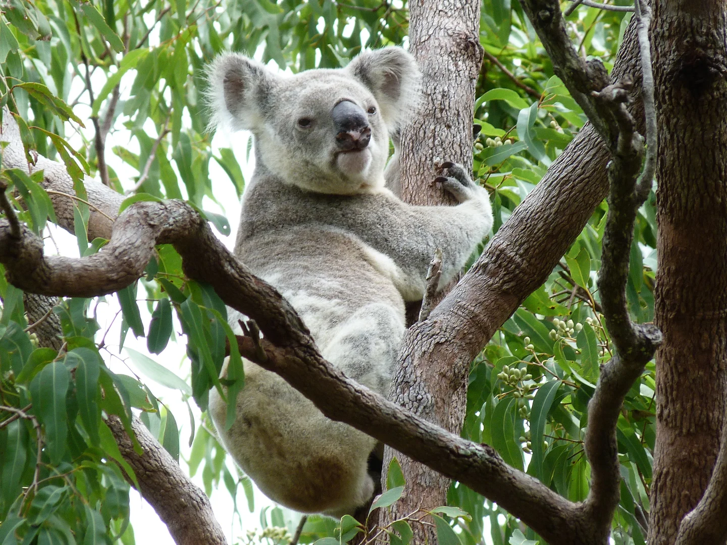 Additional image 5 of Notch Point Road, Ilbilbie QLD 4738