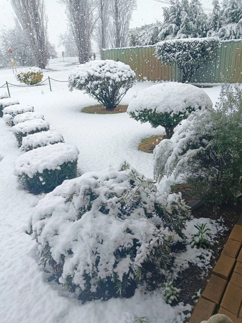 Additional image 29 of 14 Railway Street, Glencoe NSW 2365