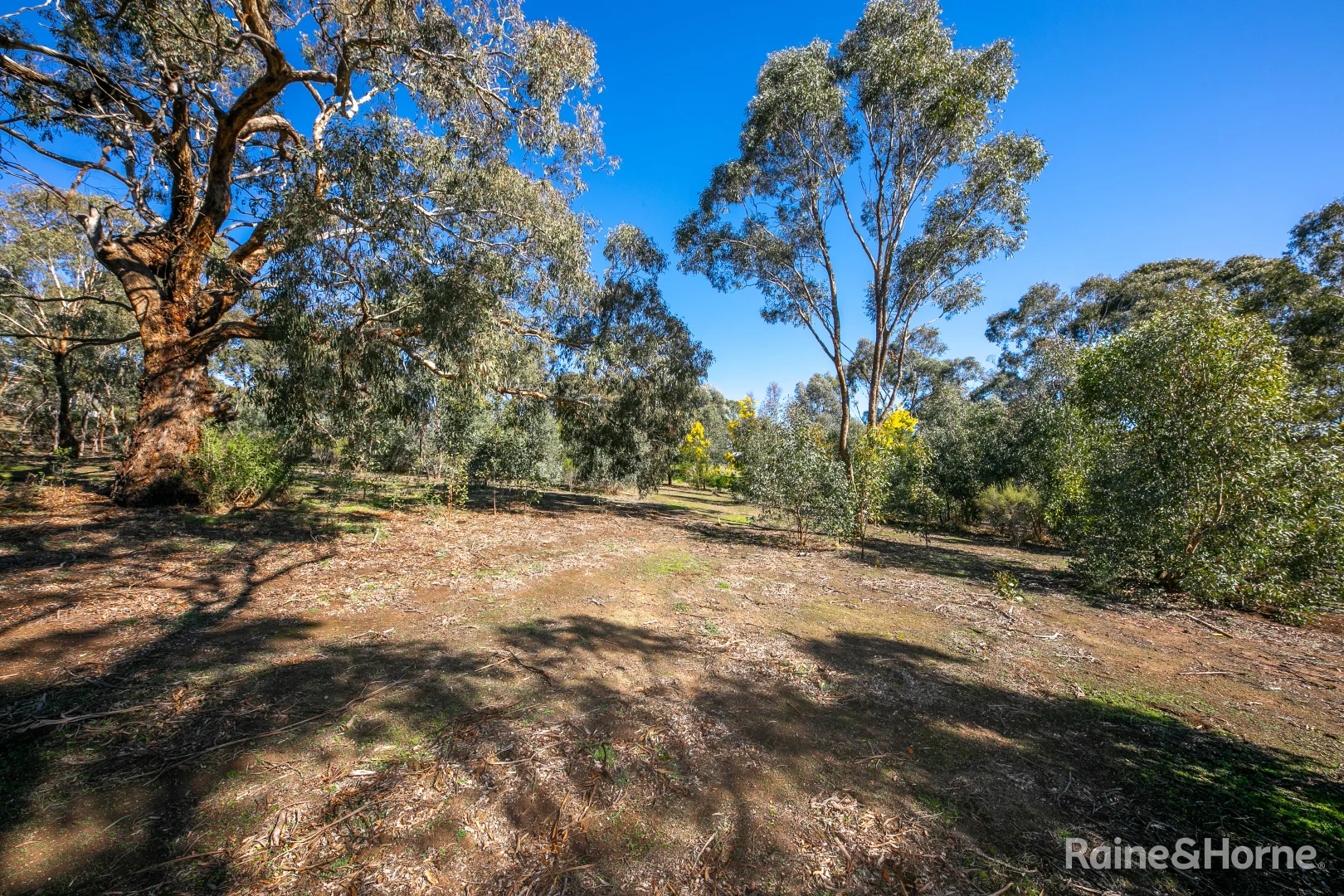 Additional image 4 of 24 Emu Road, Sunbury VIC 3429