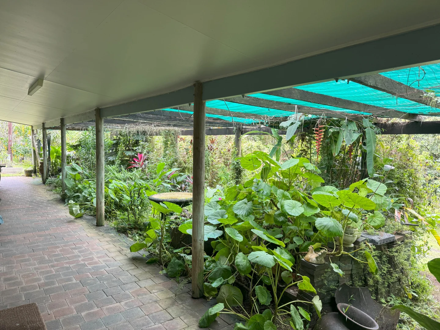 Additional image 22 of Gillies Range Road, Little Mulgrave QLD 4865