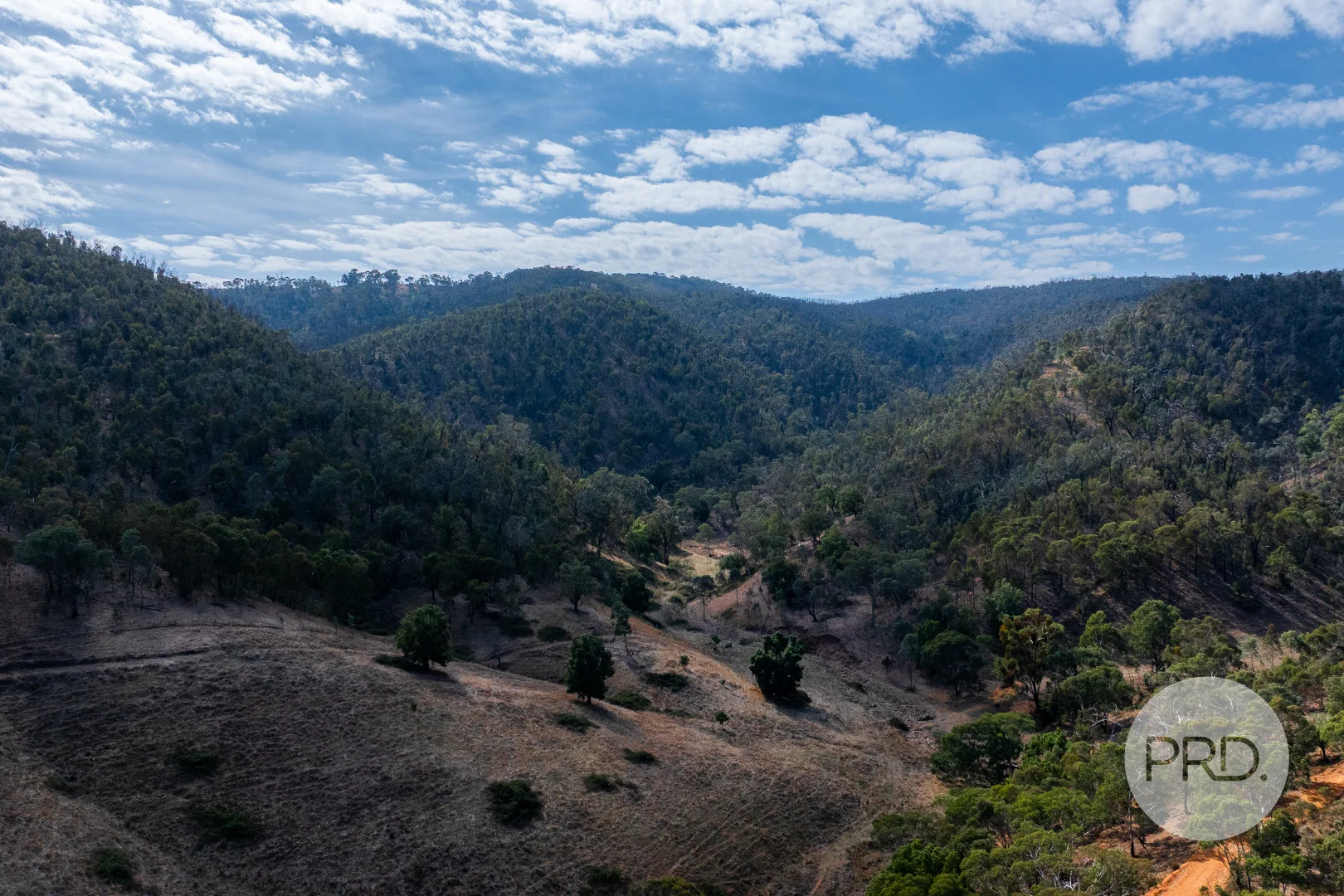 Additional image 20 of 294 Stewarts Road, Oberne Creek NSW 2650
