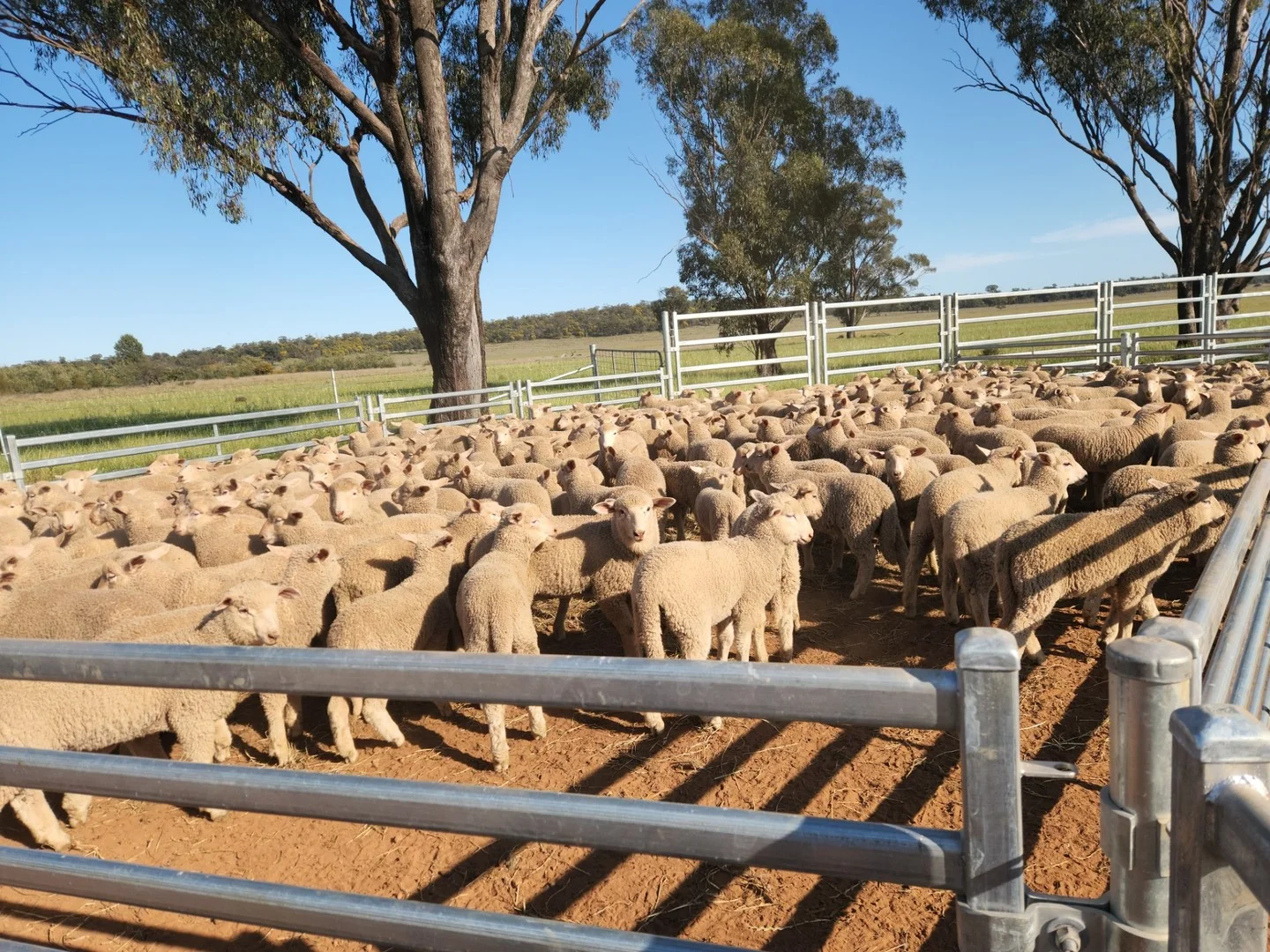 1 Boorr Hill Road, Parkes NSW 2870